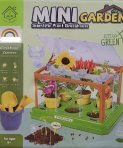 Mini Garden Activity Plant For Kids-Children’s Planting Homework- Experience the Fun.